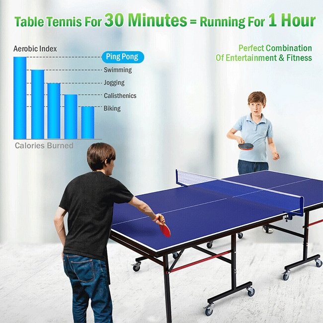 Professional Foldable Portable Modern Ping Pong Table Tennis Table, 9FT (SAK94310)